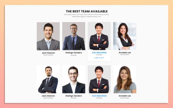 16 Team Member Widget Designs
