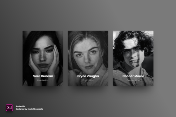 Evaluating Team Vol 03 for Adobe XD: Structure, Usability, and Workflow Efficiency