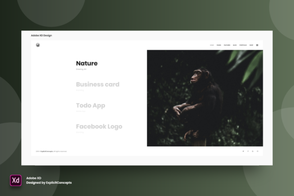 Interactive Showcase - Adobe XD